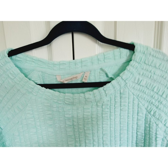 Soft Surroundings XL Goldie Tunic Long Sleeve Top Fair Aqua Cotton Seaside NWT - Picture 5 of 7